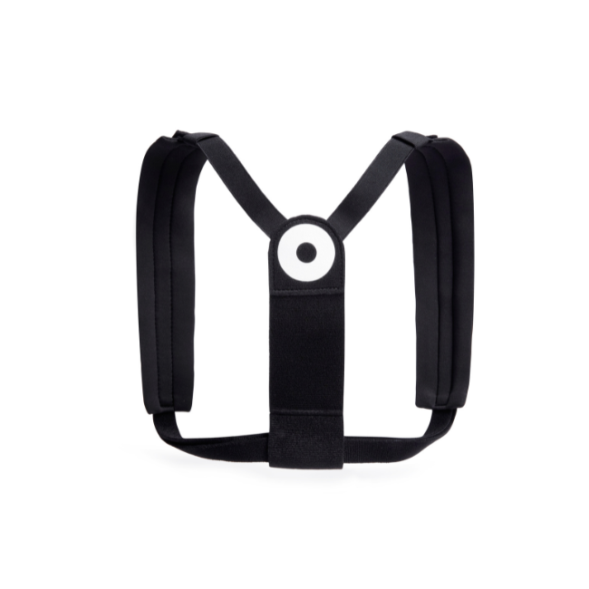 Blackroll_Haltungsgurt_Ansicht von hinten Blackroll Haltungsgurt Ansicht von hinten